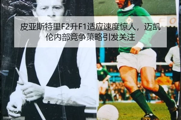 pi-ya-si-te-li-sheng-shi-ying-su-du-jing-ren-mai-kai-lun-nei-bu-jing-zheng-ce-lve-yin-fa-guan-zhu-2-784.jpg